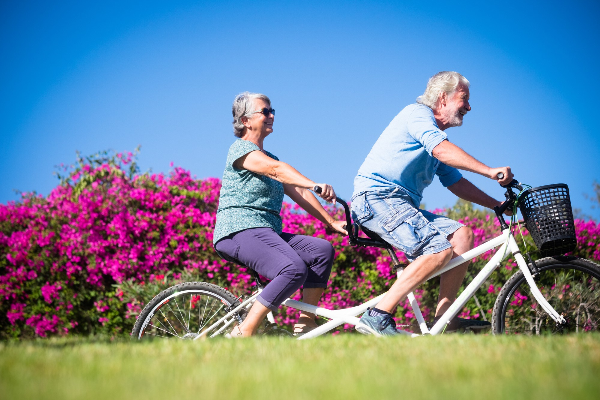 Wellness Care
